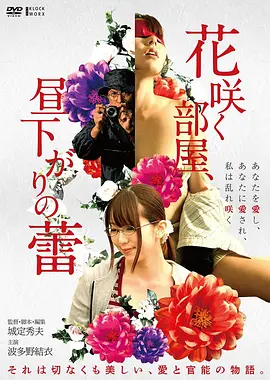 花样年华电影海报